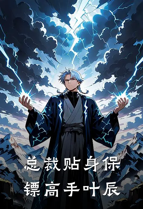 总裁贴身保镖高手叶辰