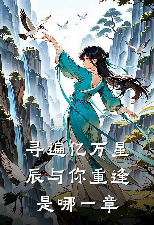 寻遍亿万星辰与你重逢是哪一章